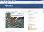 screenshot blog netsensei